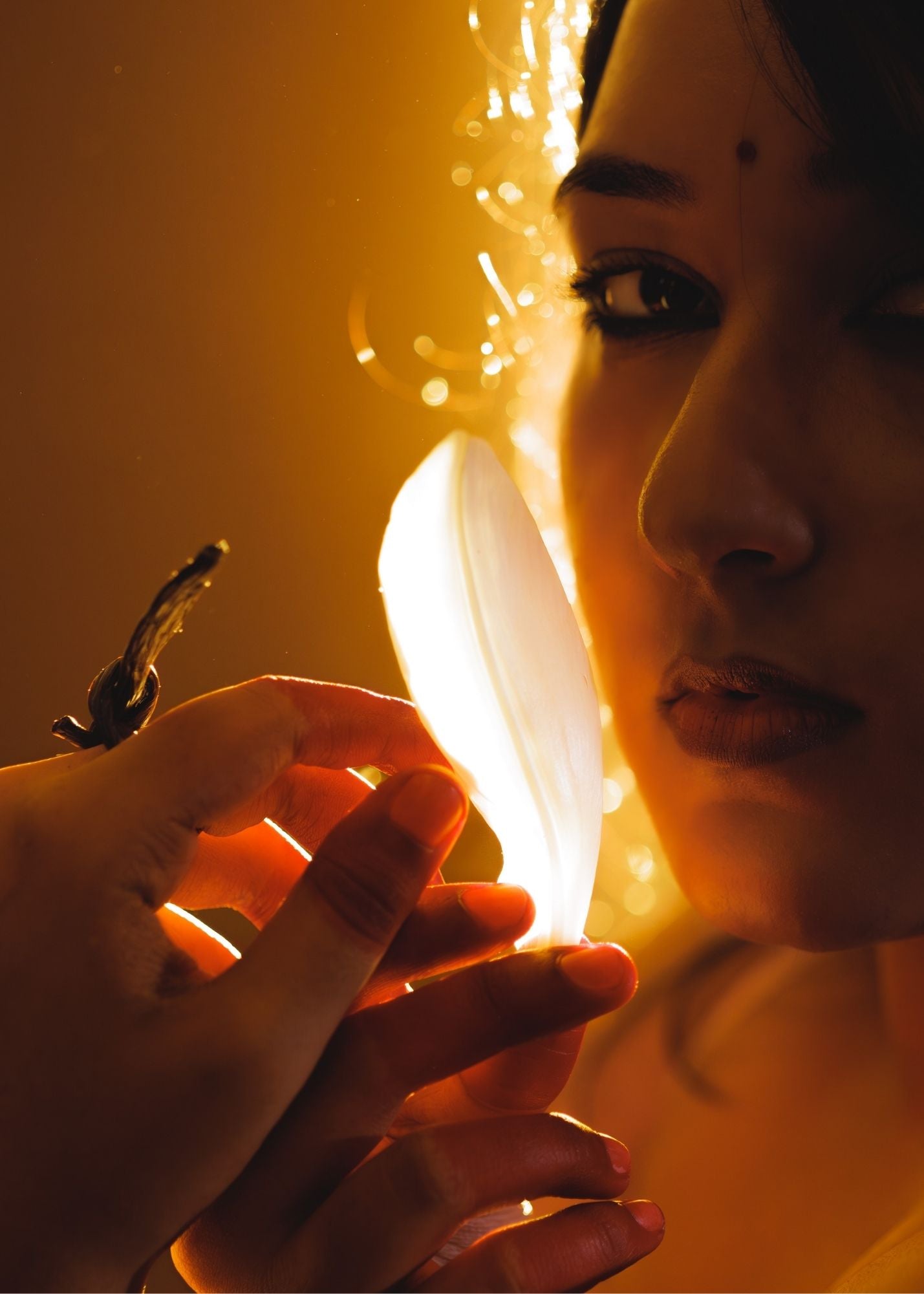 Woman holding a lily petal with a warm, blurred background
