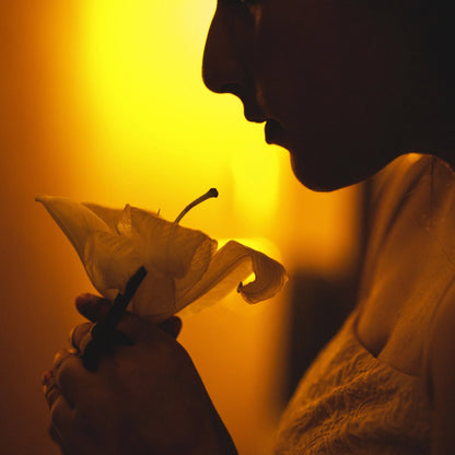 Silhouette of a person holding a lily flower against a warm yellow background